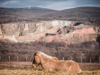 2022-01-27_13-52-41_BRTH_Canon EOS RP_98_2.8__MG_9538