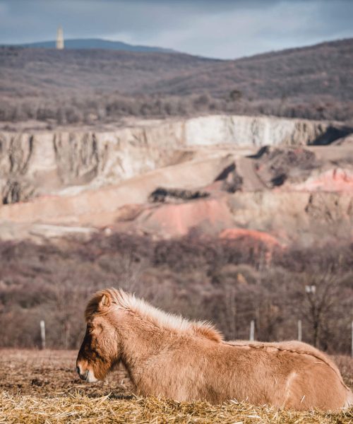 2022-01-27_13-52-41_BRTH_Canon EOS RP_98_2.8__MG_9538